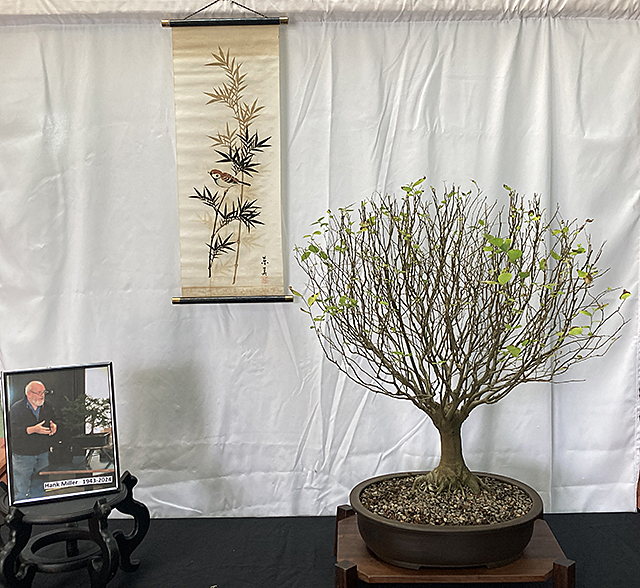 2023 Bonsai Show