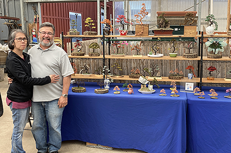 Wire Bonsai Tree Display