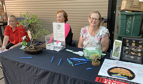 Raffle Ticket Sales Table