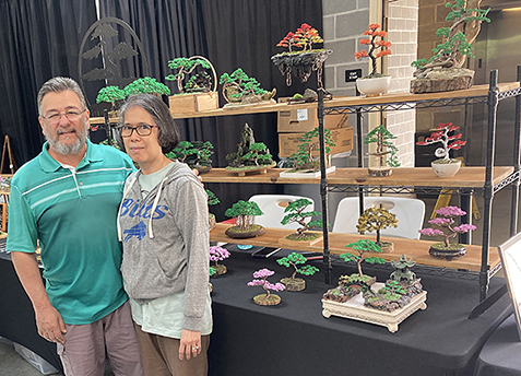 Wire Bonsai Tree Display