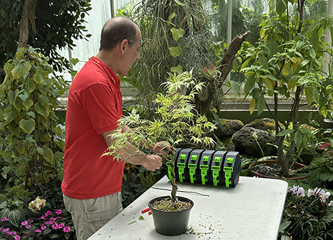 Introduction to Bonsai