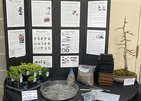 Introduction to Bonsai
