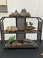 Mame Display
